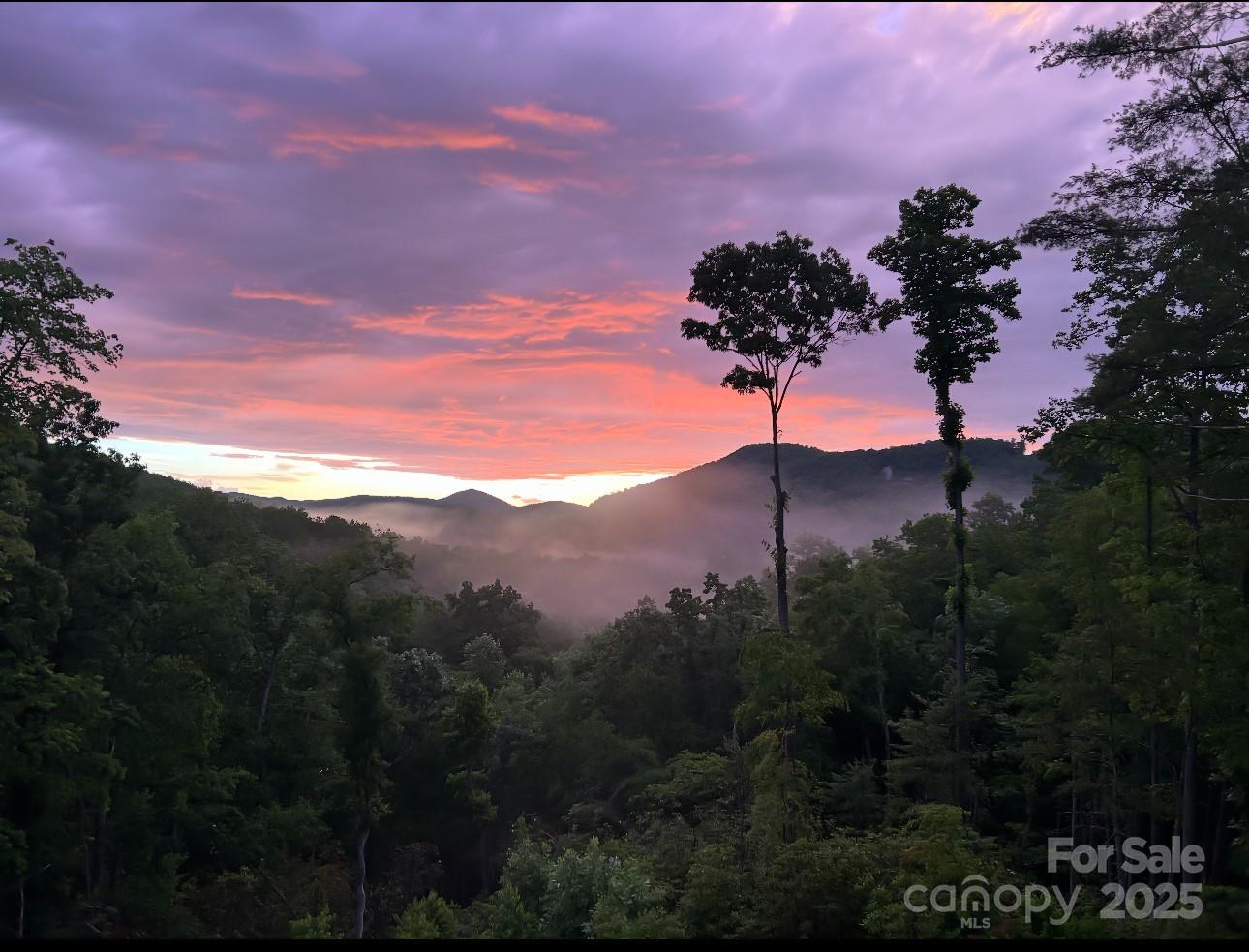 Old Orchard - Residential