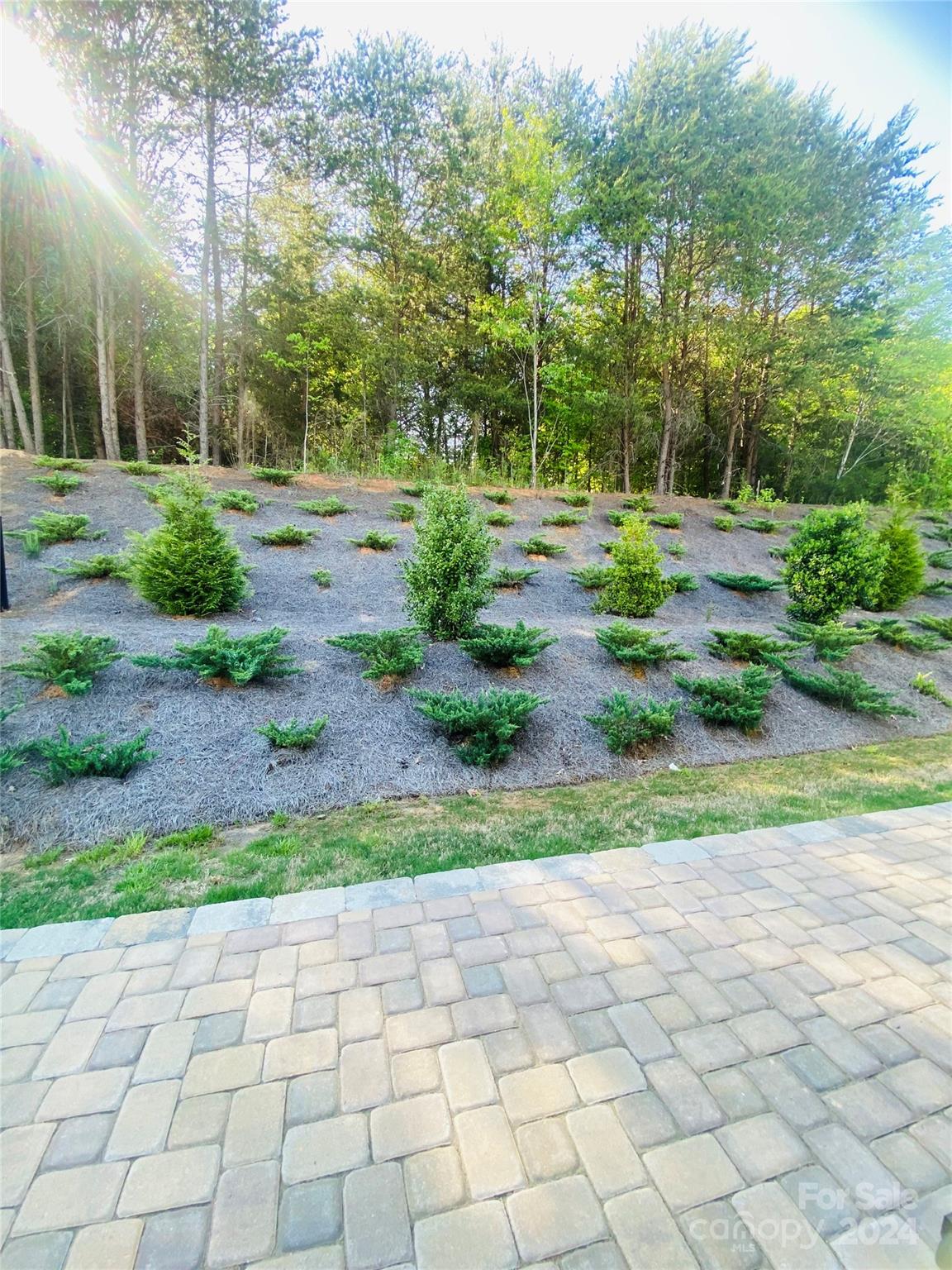 The Manors at Handsmill - Residential