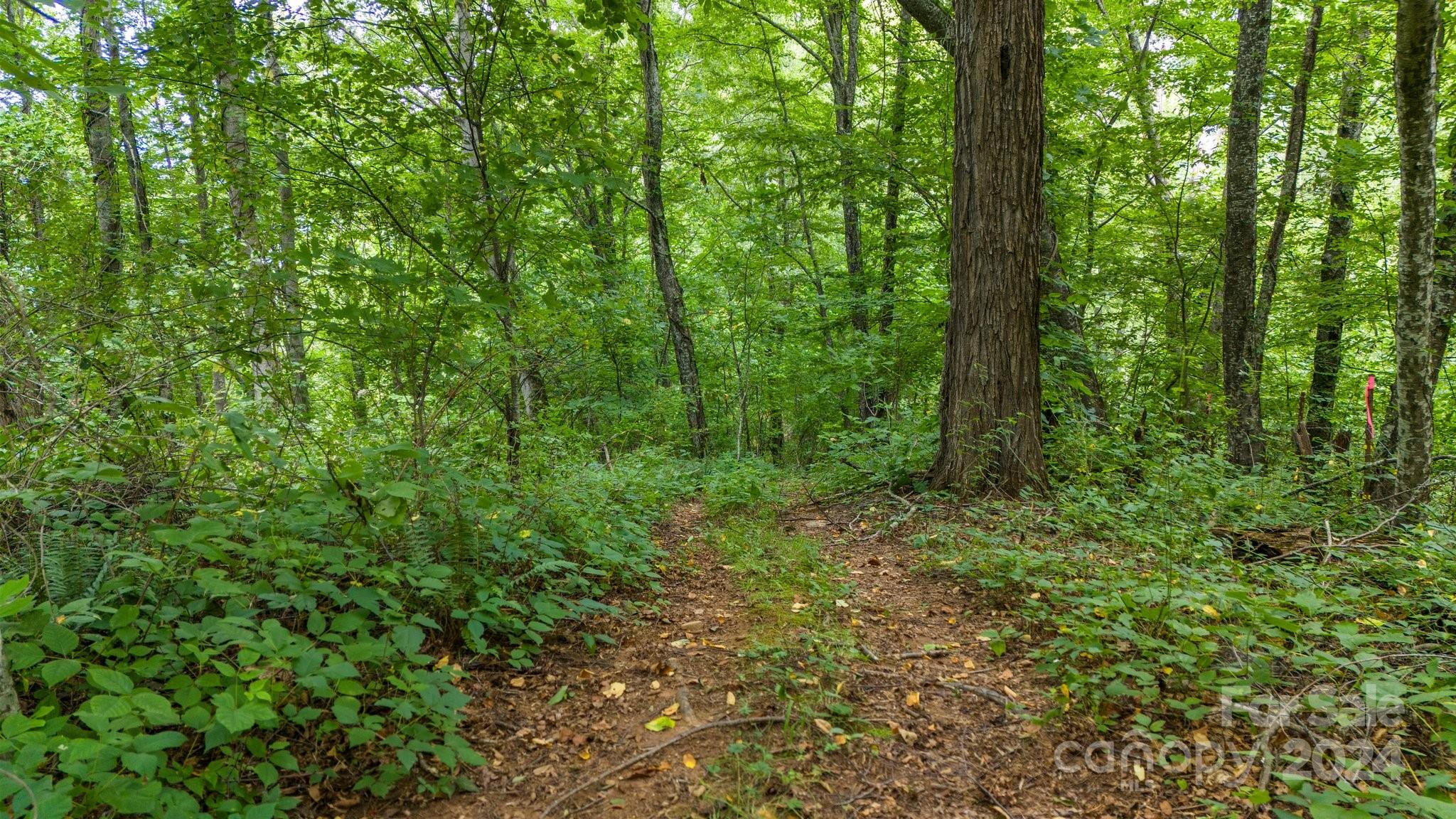 Hunters Ridge - Land