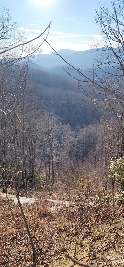 9999 Still Spring Road Lot 4 Black Mountain NC 28711