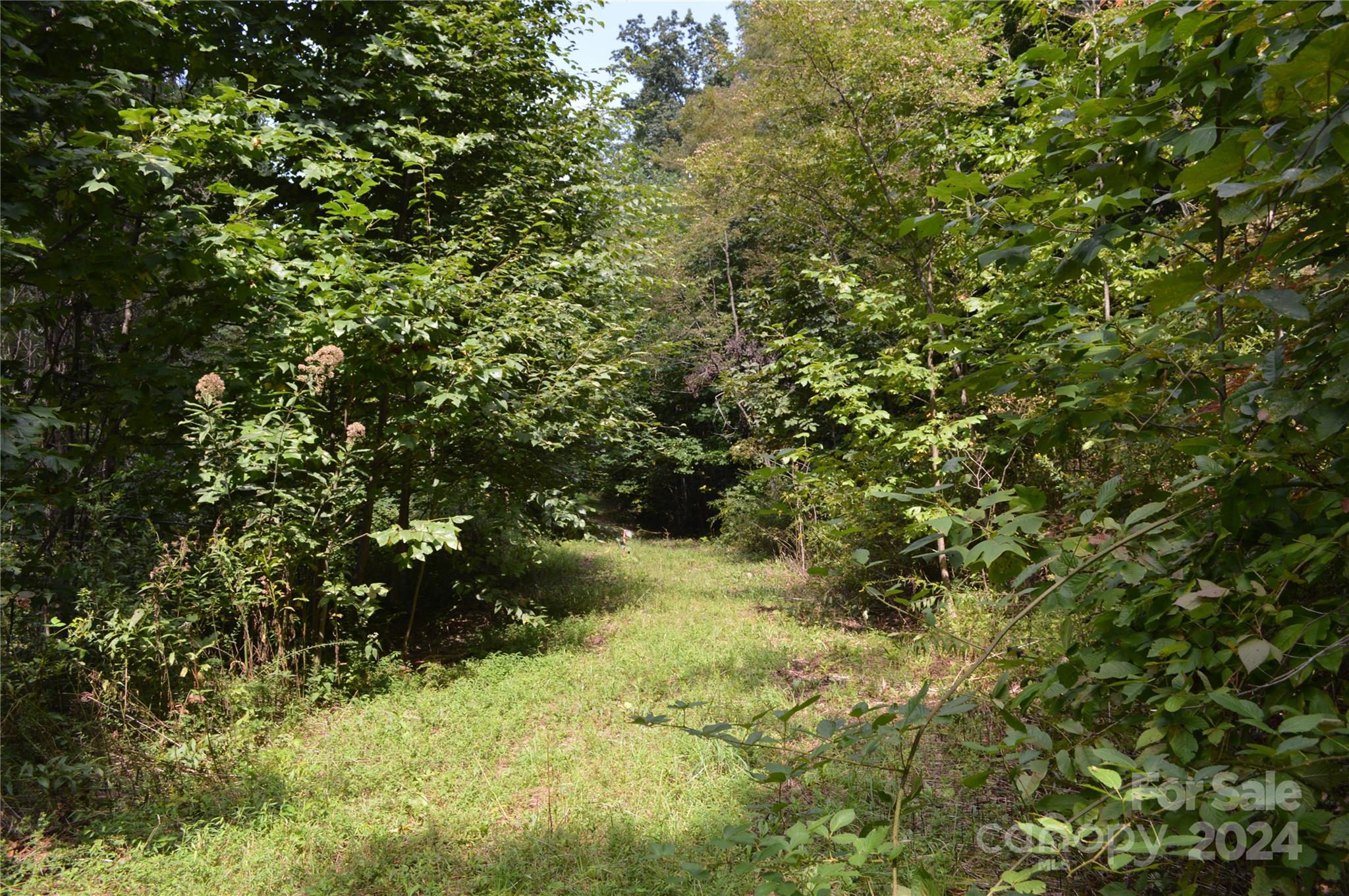 9999 Still Spring Road Lot 4