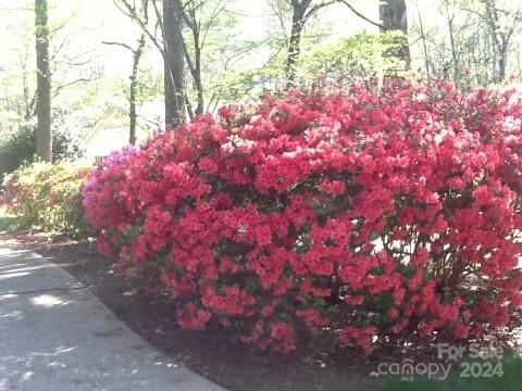 Sardis Beverly Park - Residential