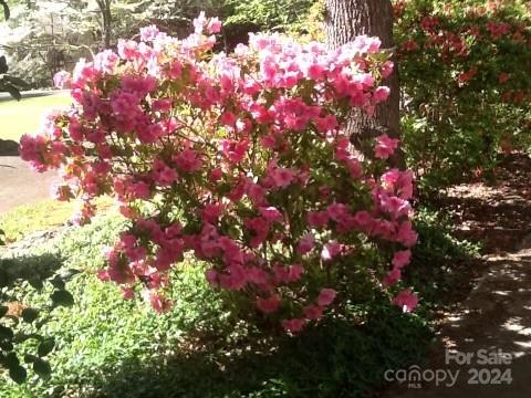 Sardis Beverly Park - Residential