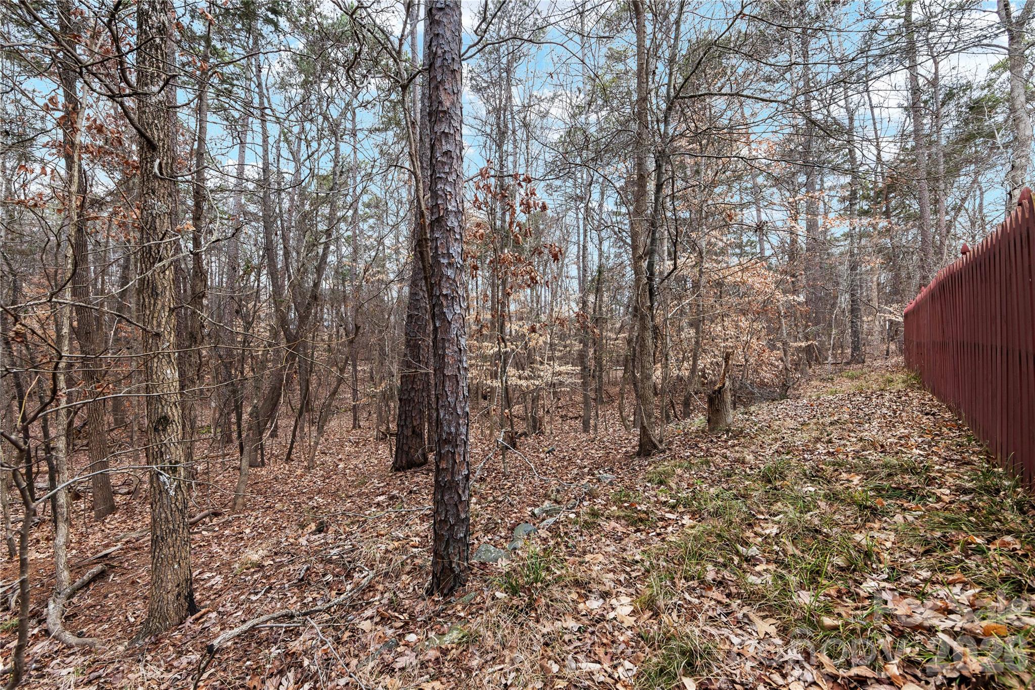 Back Creek - Residential