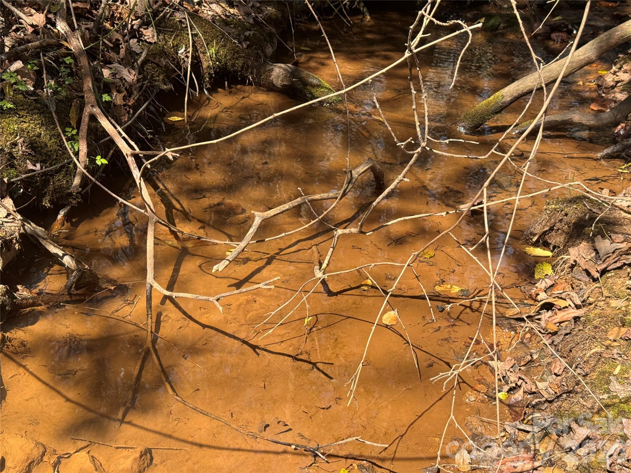 335 Woodrow Hoyle Road