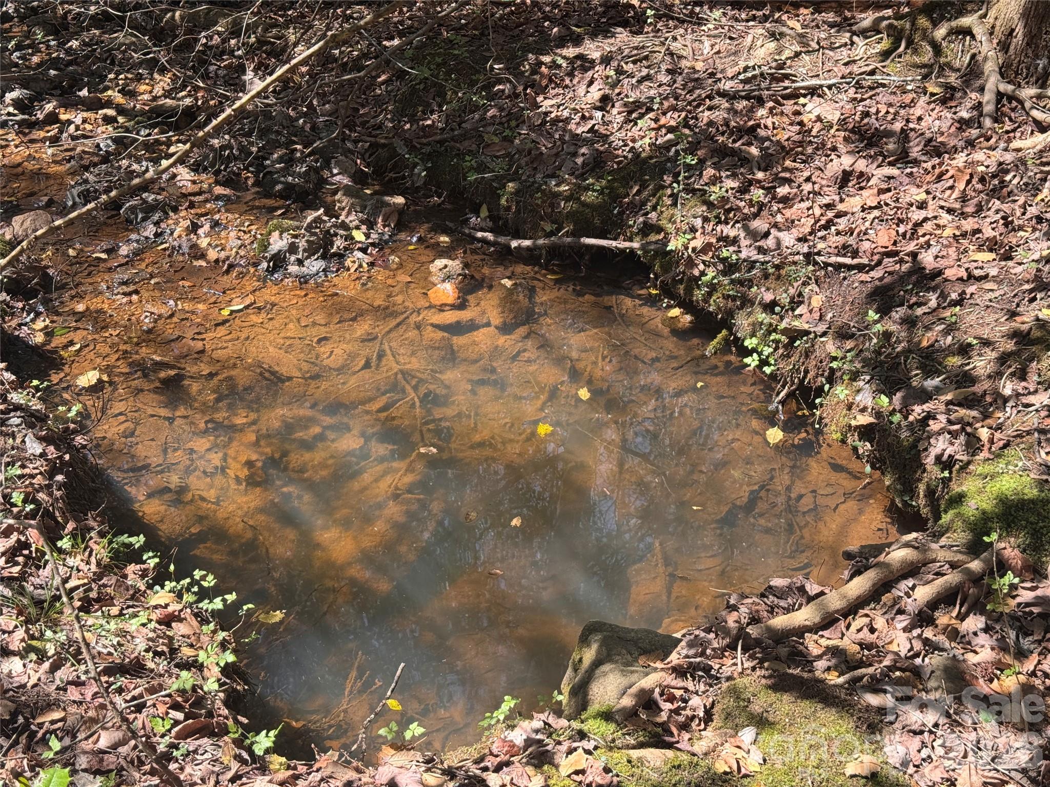 335 Woodrow Hoyle Road