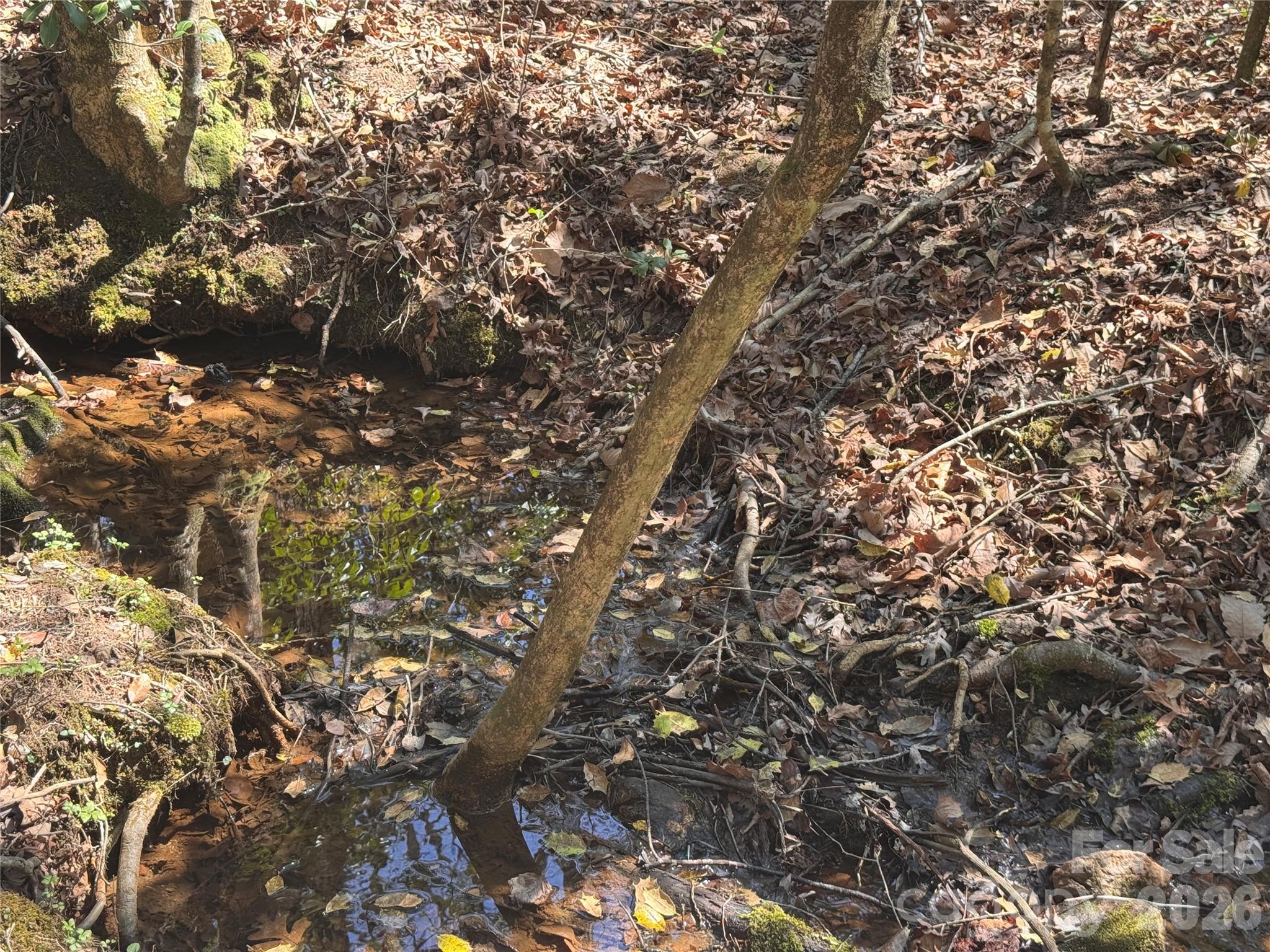 335 Woodrow Hoyle Road