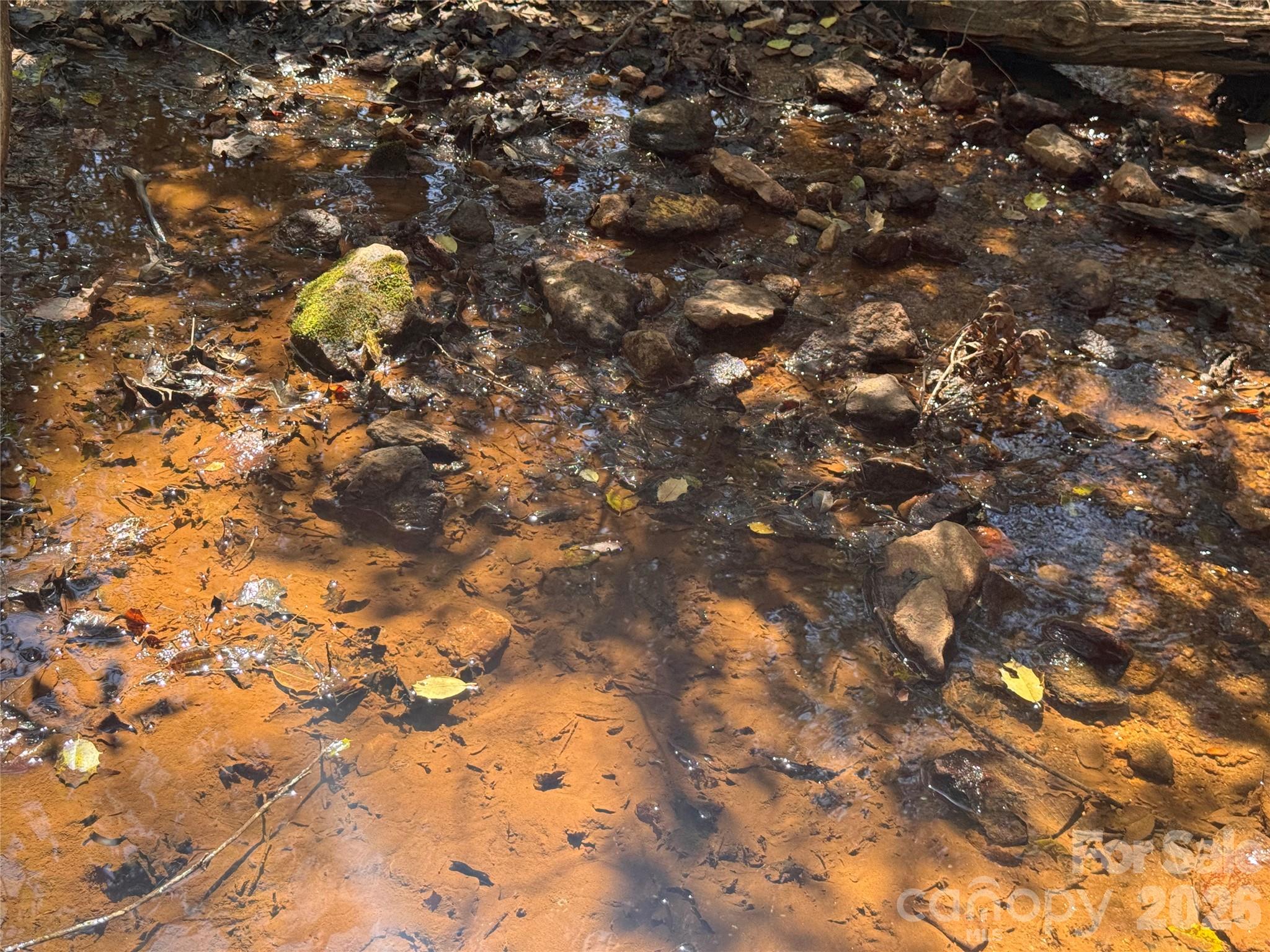 335 Woodrow Hoyle Road