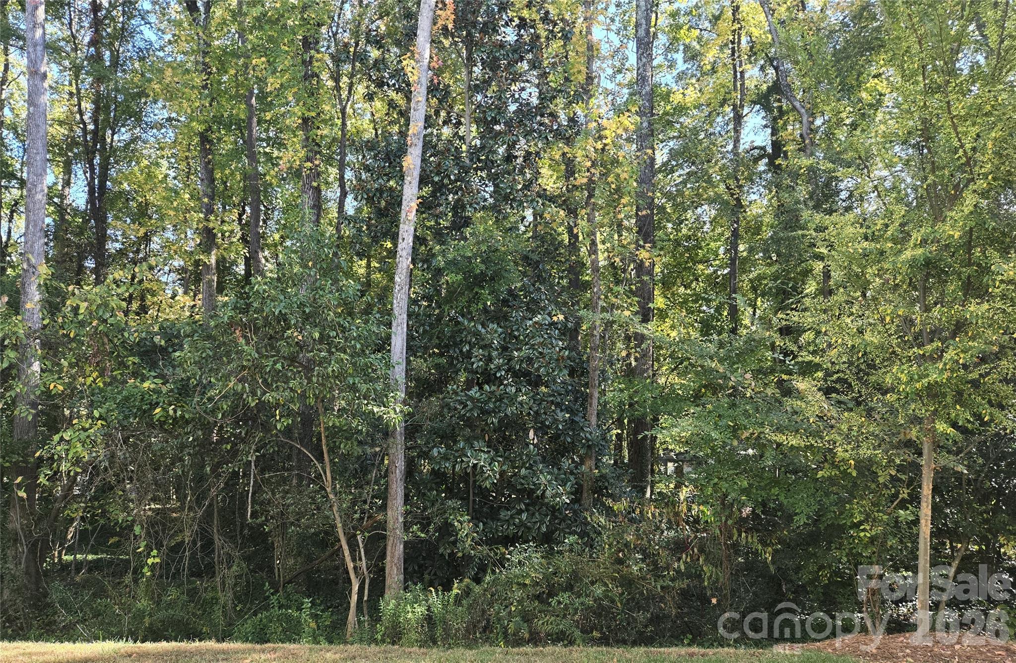 2401 Magnolia Blossom Way