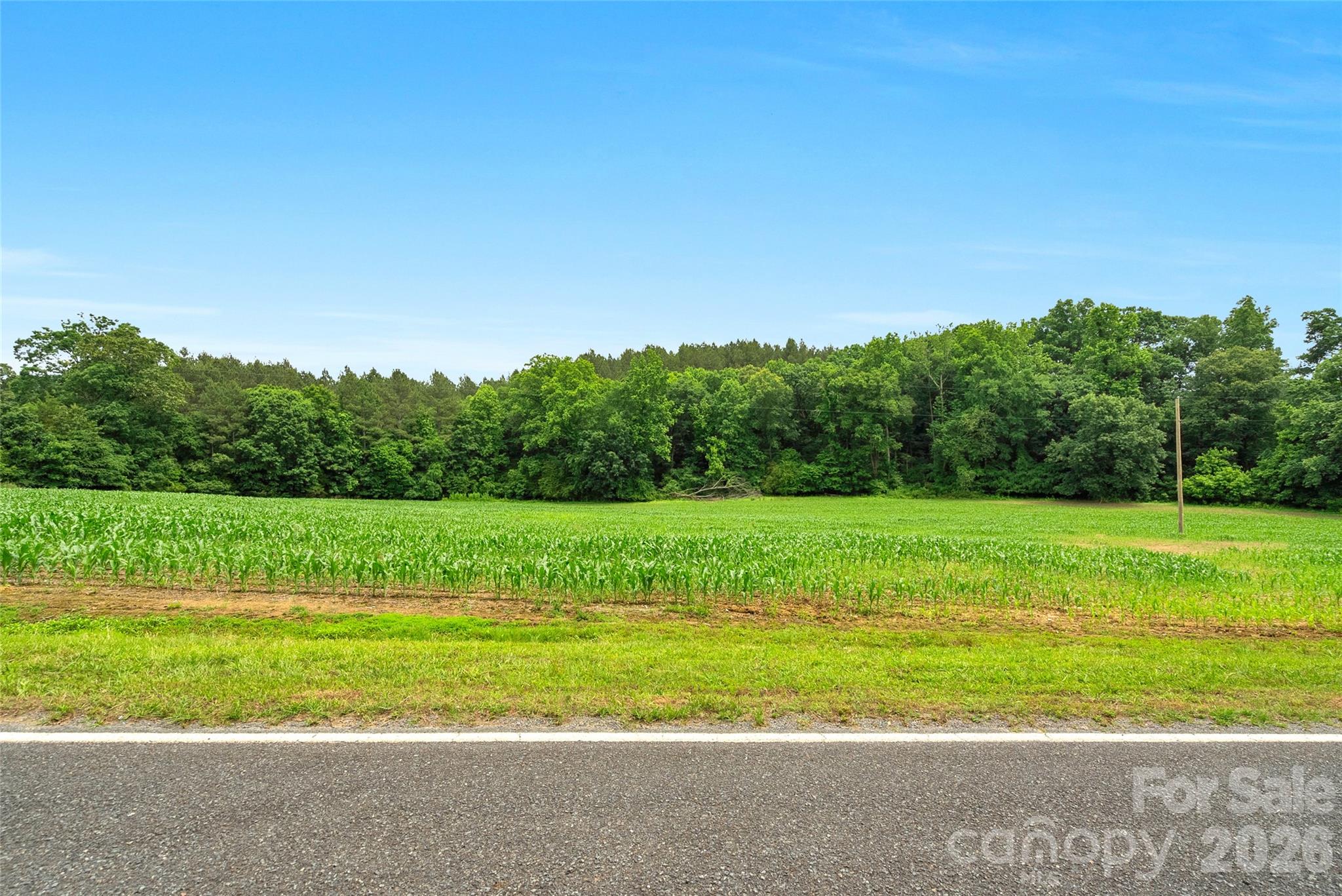 0000 Lucy Short Cut Road 2