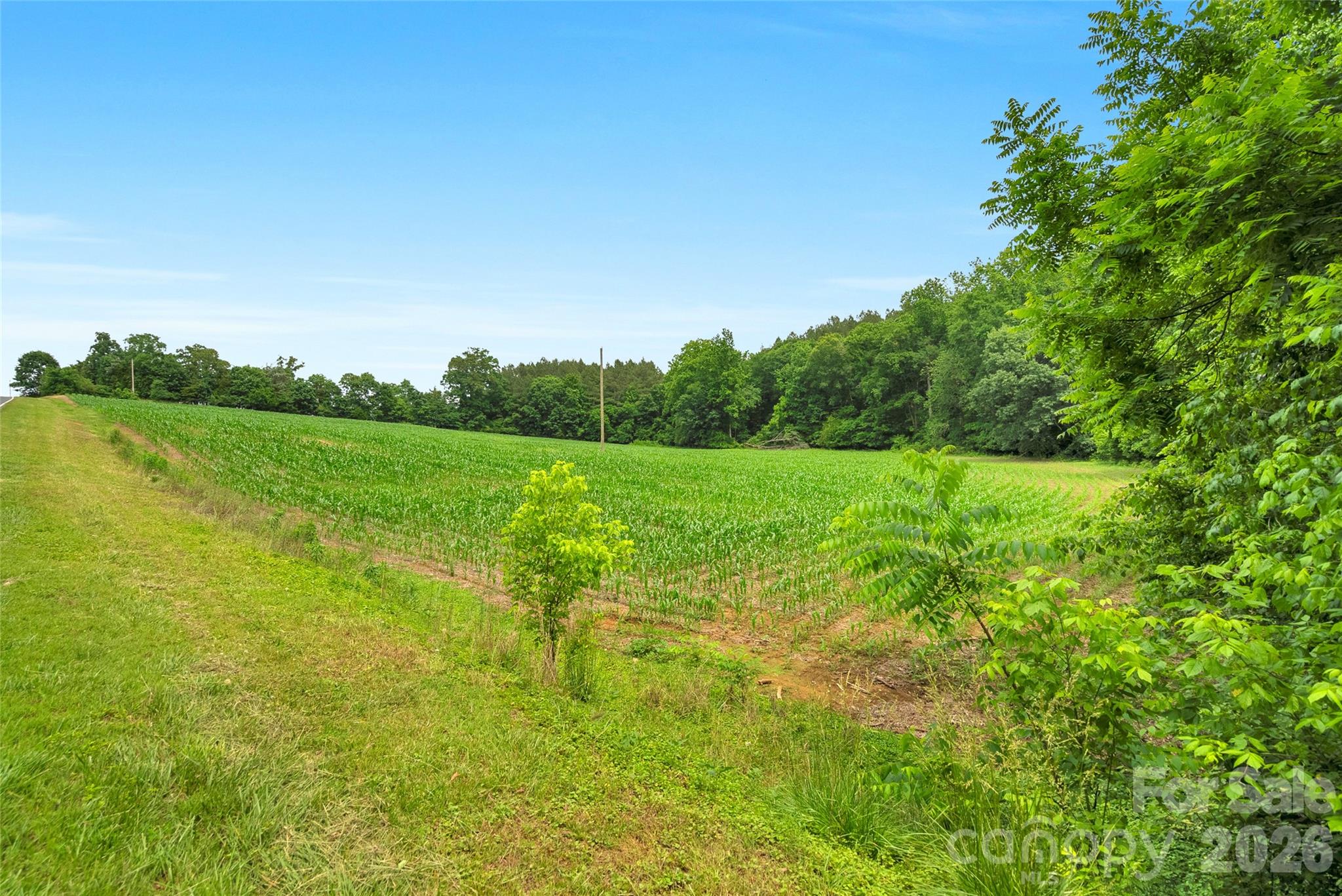 0000 Lucy Short Cut Road 2