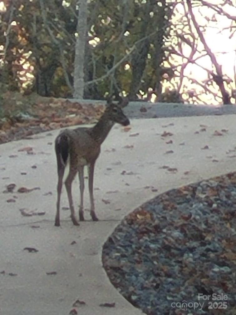 Yellowtop Mountain Estates - Residential