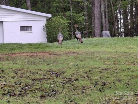 Mars Hill, North Carolina 28754, United States, 4 Bedrooms Bedrooms, ,5 BathroomsBathrooms,Residential,Active,115106