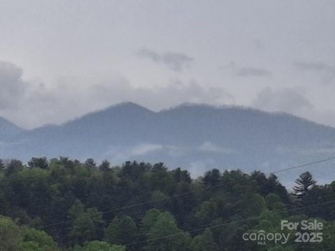 Mars Hill, North Carolina 28754, United States, 4 Bedrooms Bedrooms, ,5 BathroomsBathrooms,Residential,Active,115106