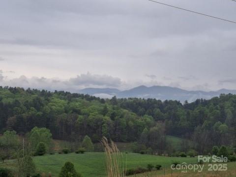 Mars Hill, North Carolina 28754, United States, 4 Bedrooms Bedrooms, ,5 BathroomsBathrooms,Residential,Active,115106