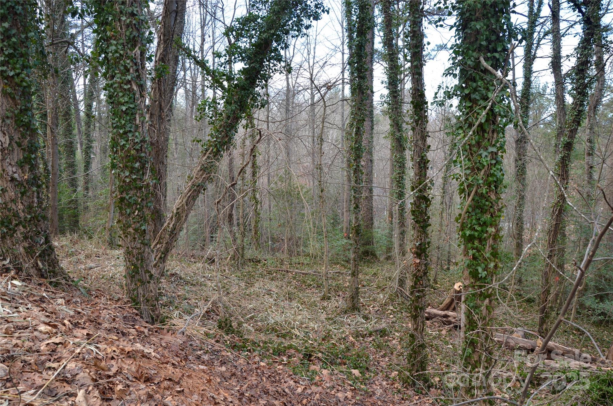 99999 Horizon Hill Road