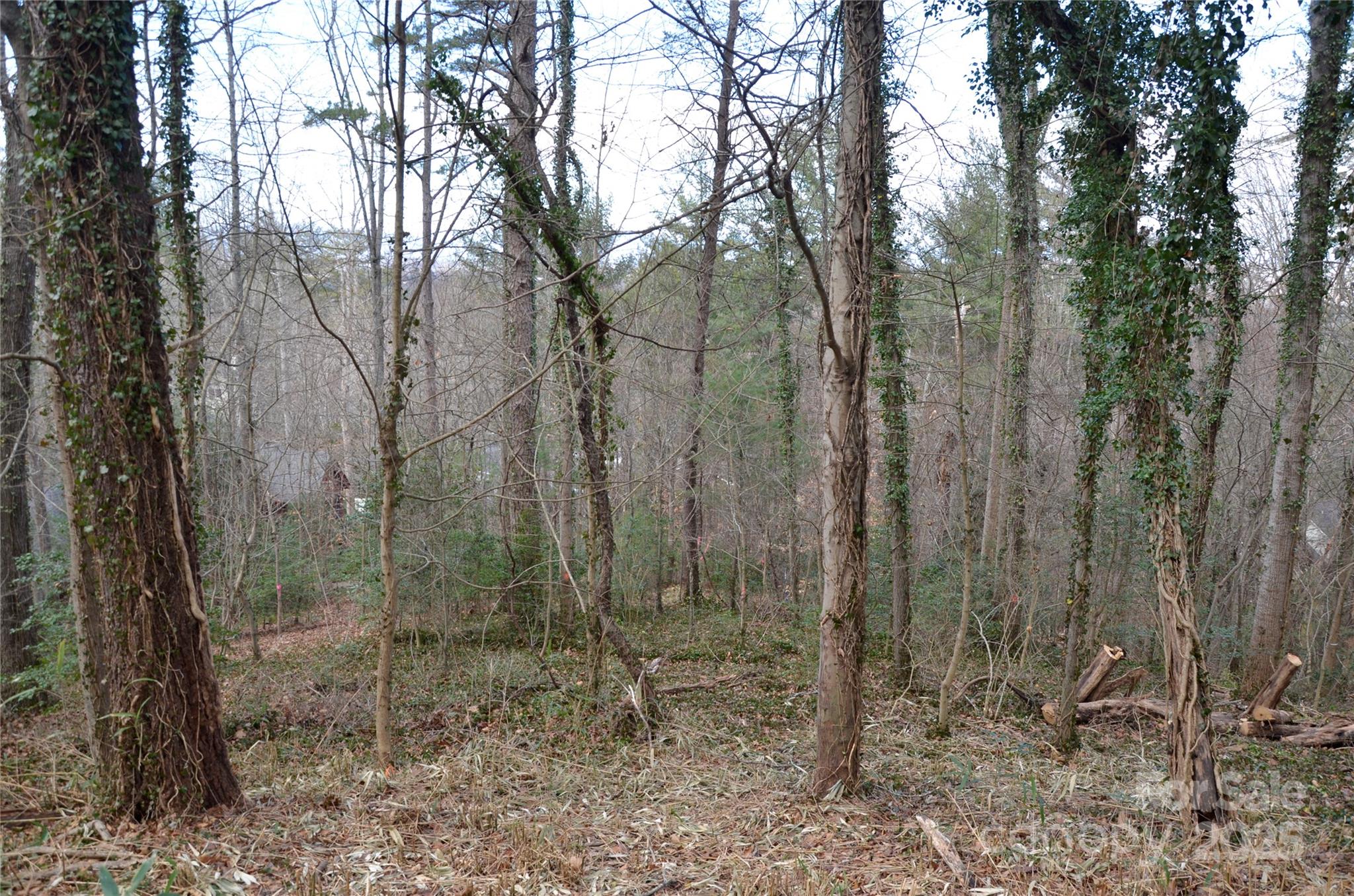 99999 Horizon Hill Road