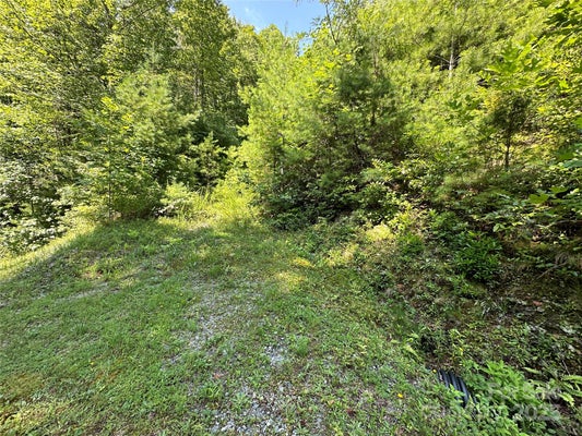 104 ABBY FALLS DR, BREVARD, NC 28712 - Image e6369718ccb0c54bb048d41313cfd693/114213019