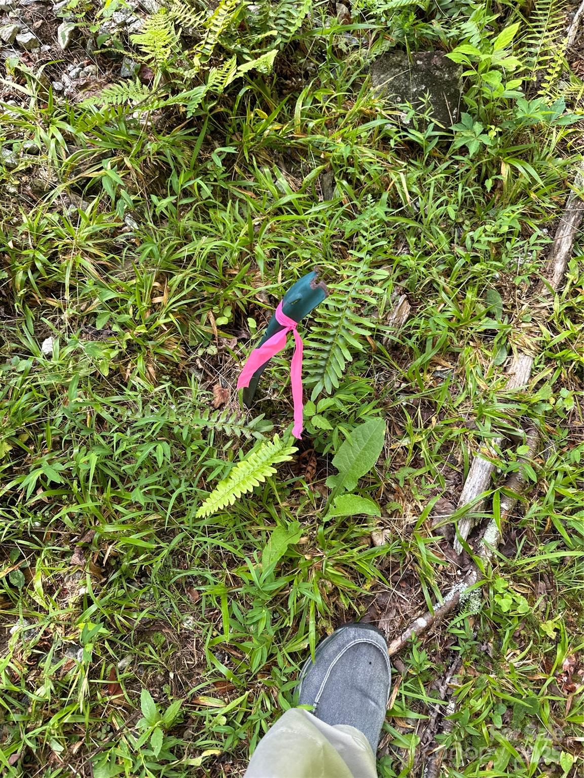 Round Mountain Falls - Land