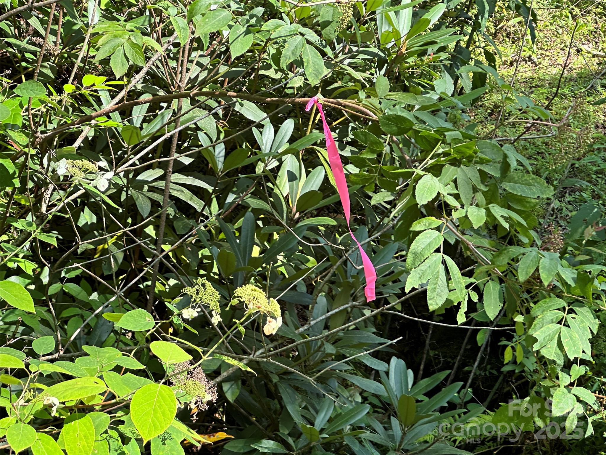 Round Mountain Falls - Land