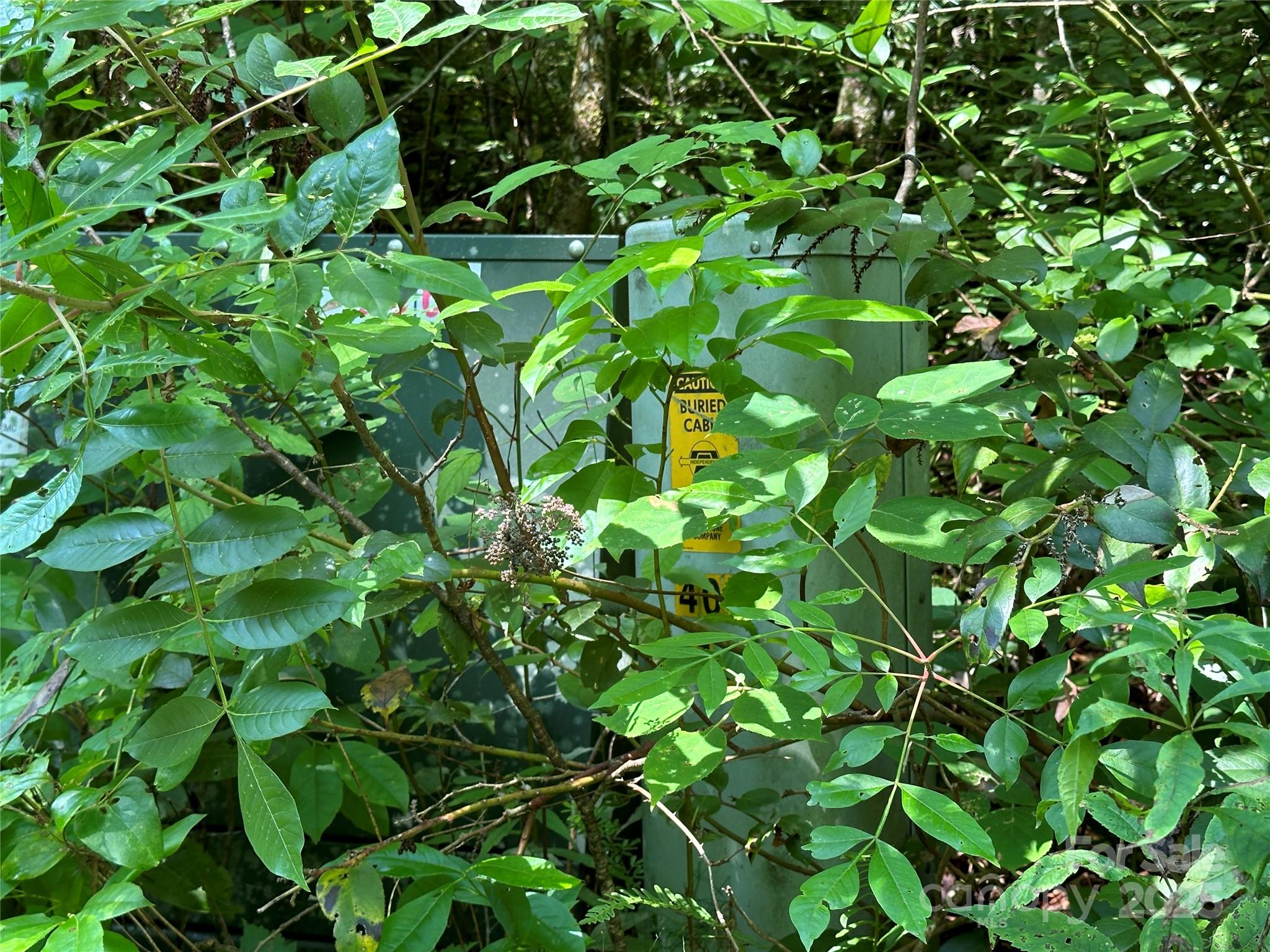 Round Mountain Falls - Land