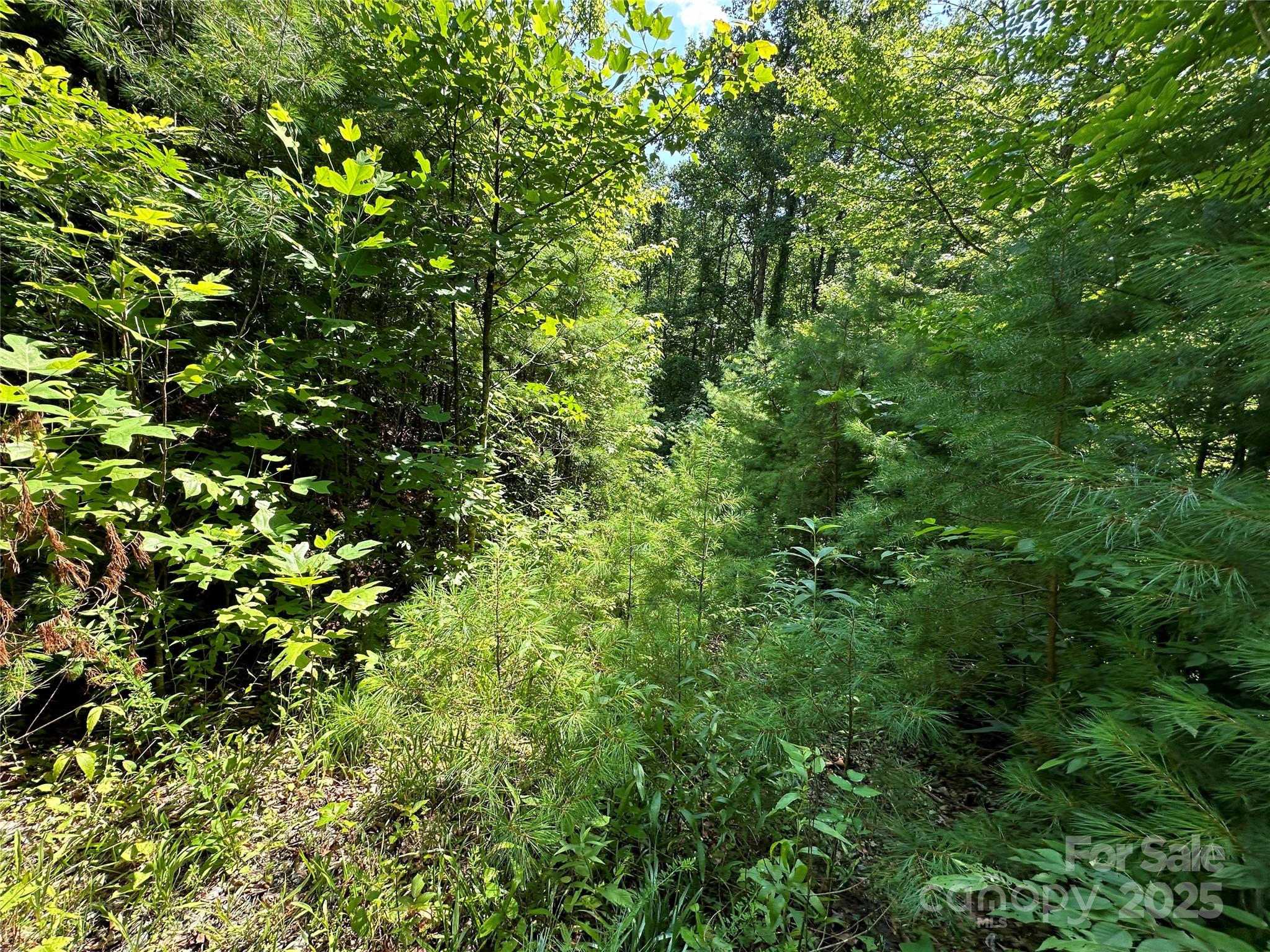 Round Mountain Falls - Land