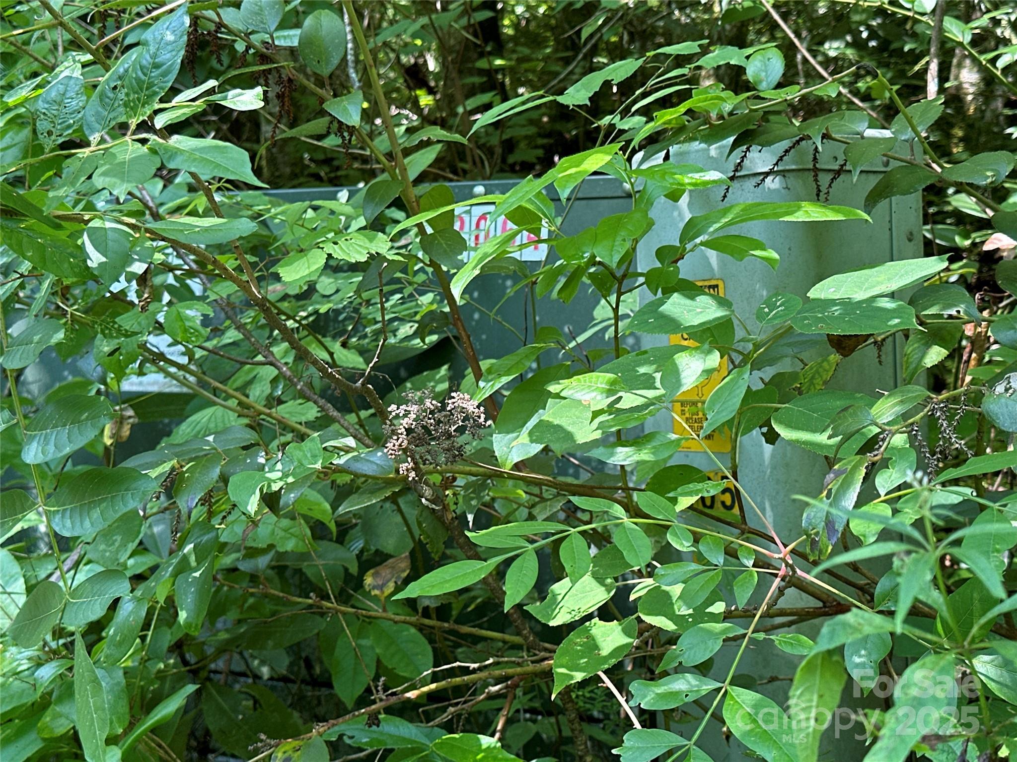 Round Mountain Falls - Land