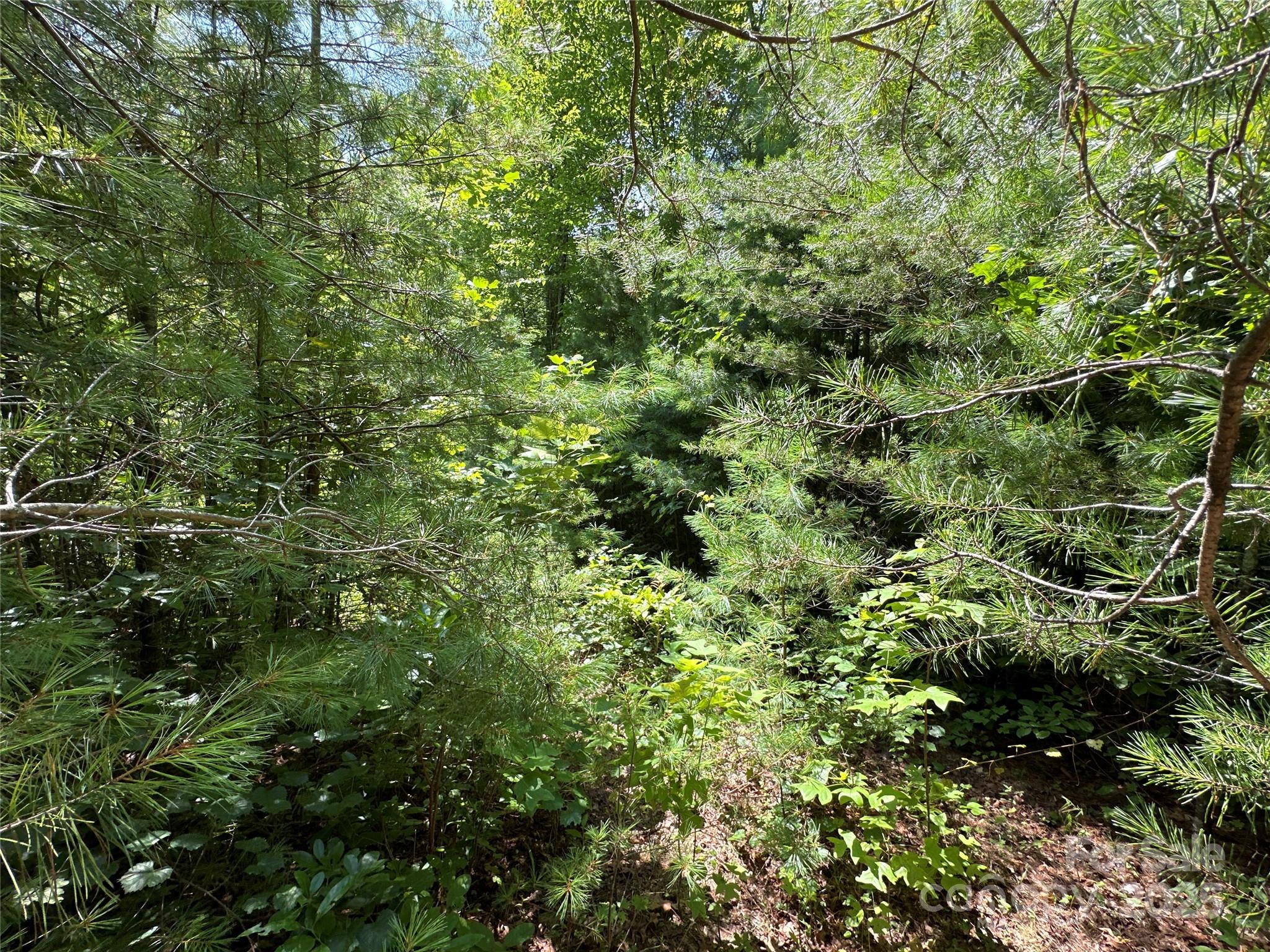 Round Mountain Falls - Land