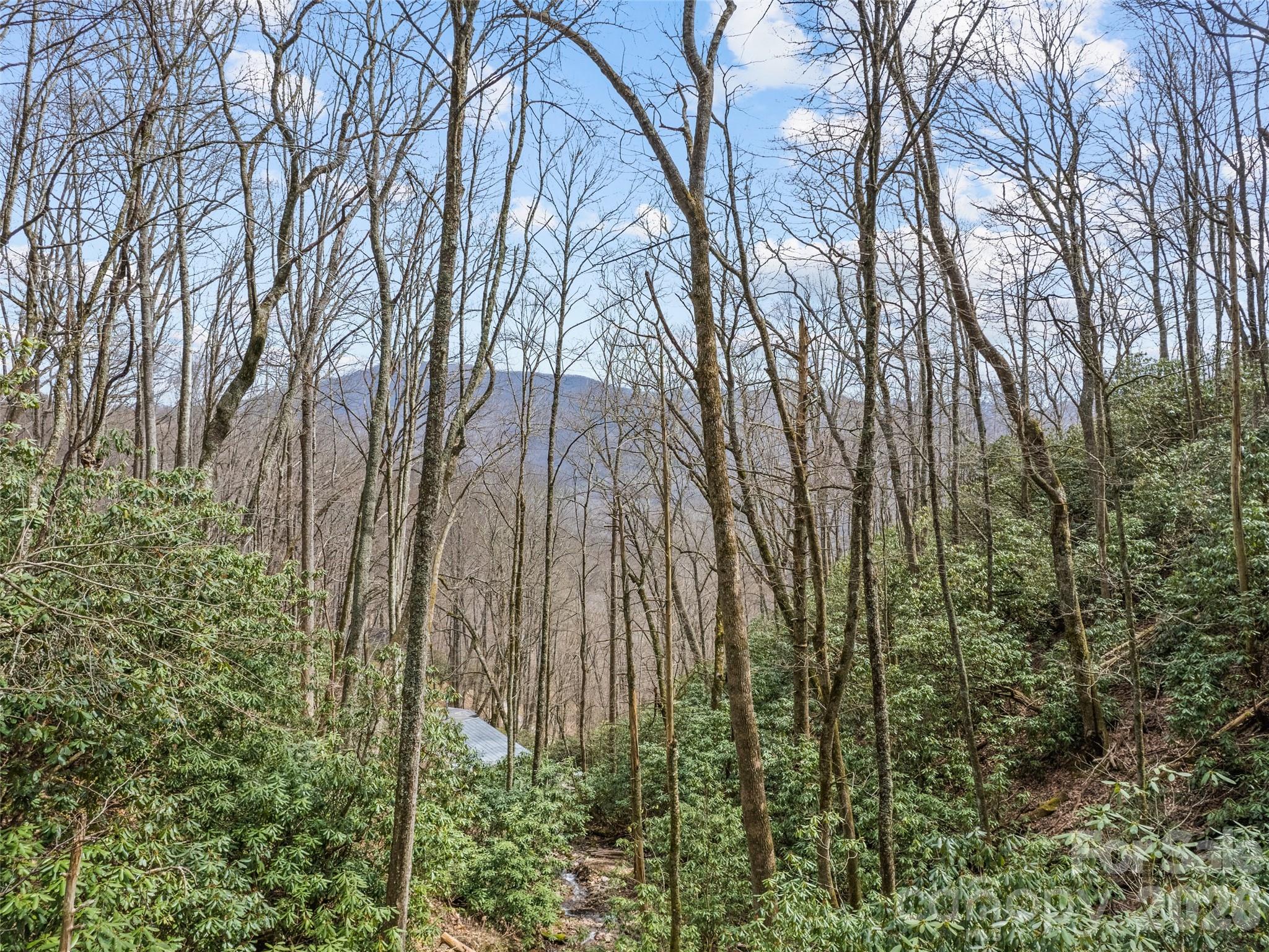 Woodfin Creek - Residential