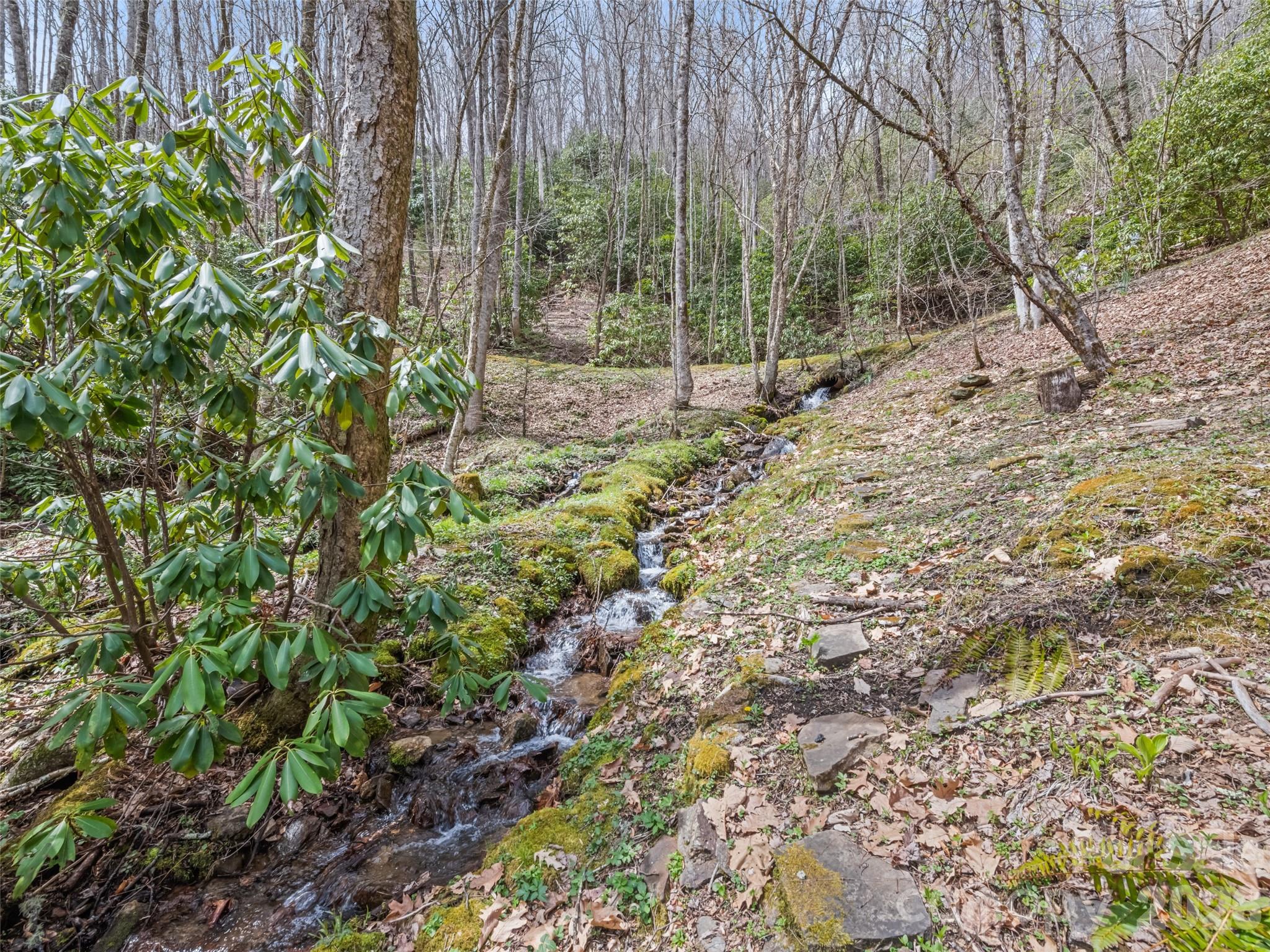 Woodfin Creek - Residential