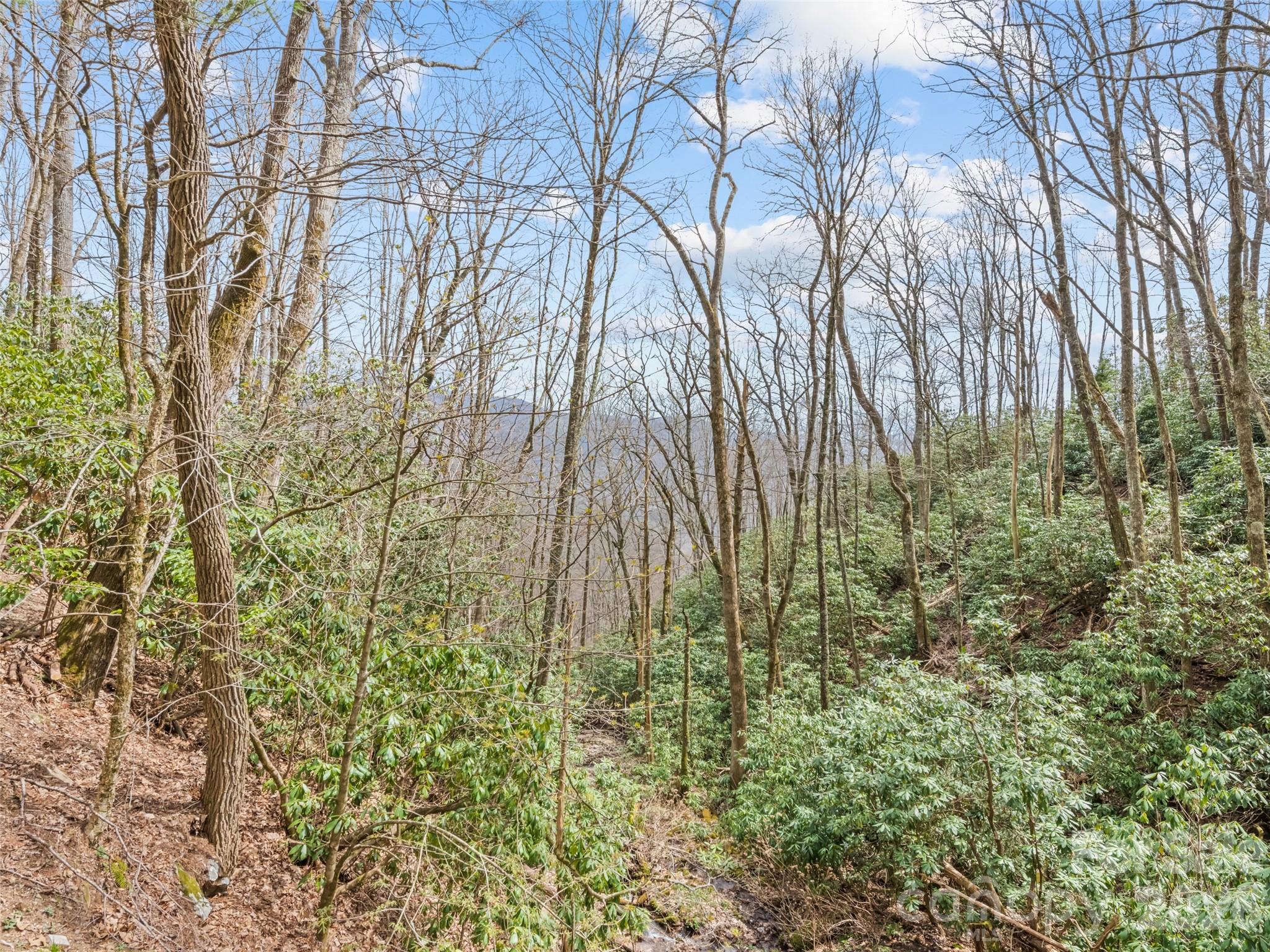 Woodfin Creek - Residential