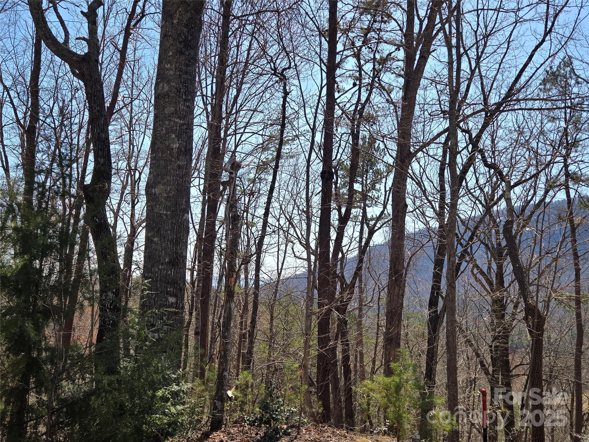 Rumbling Bald on Lake Lure - Land