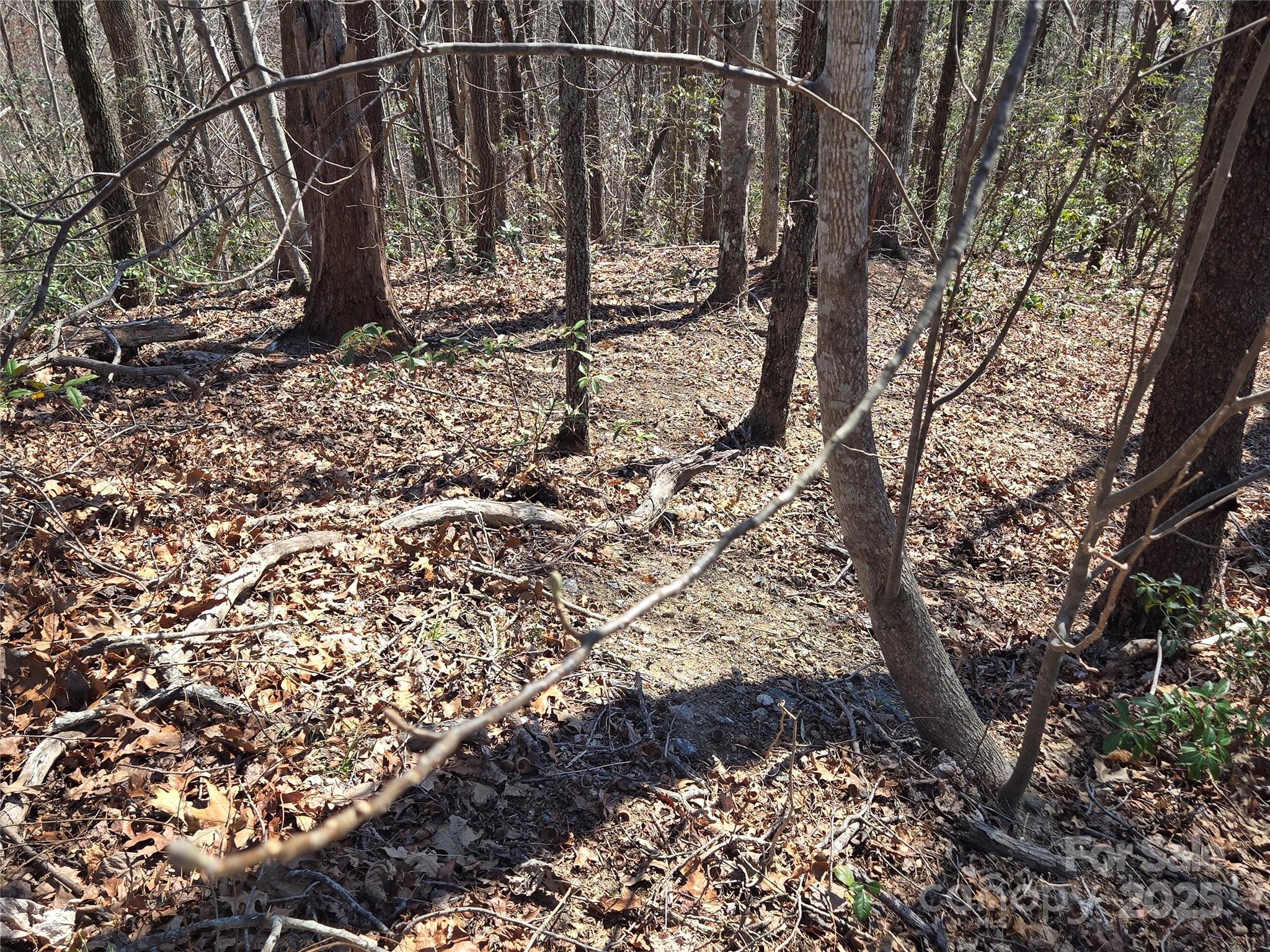 Rumbling Bald on Lake Lure - Land