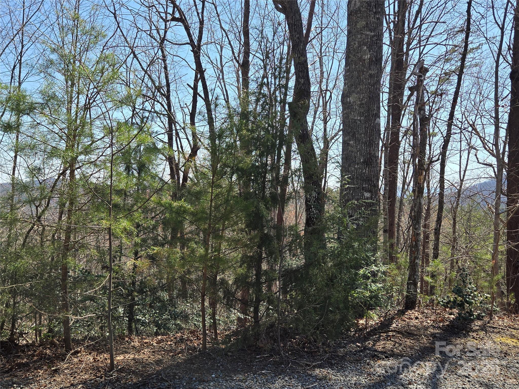 Rumbling Bald on Lake Lure - Land