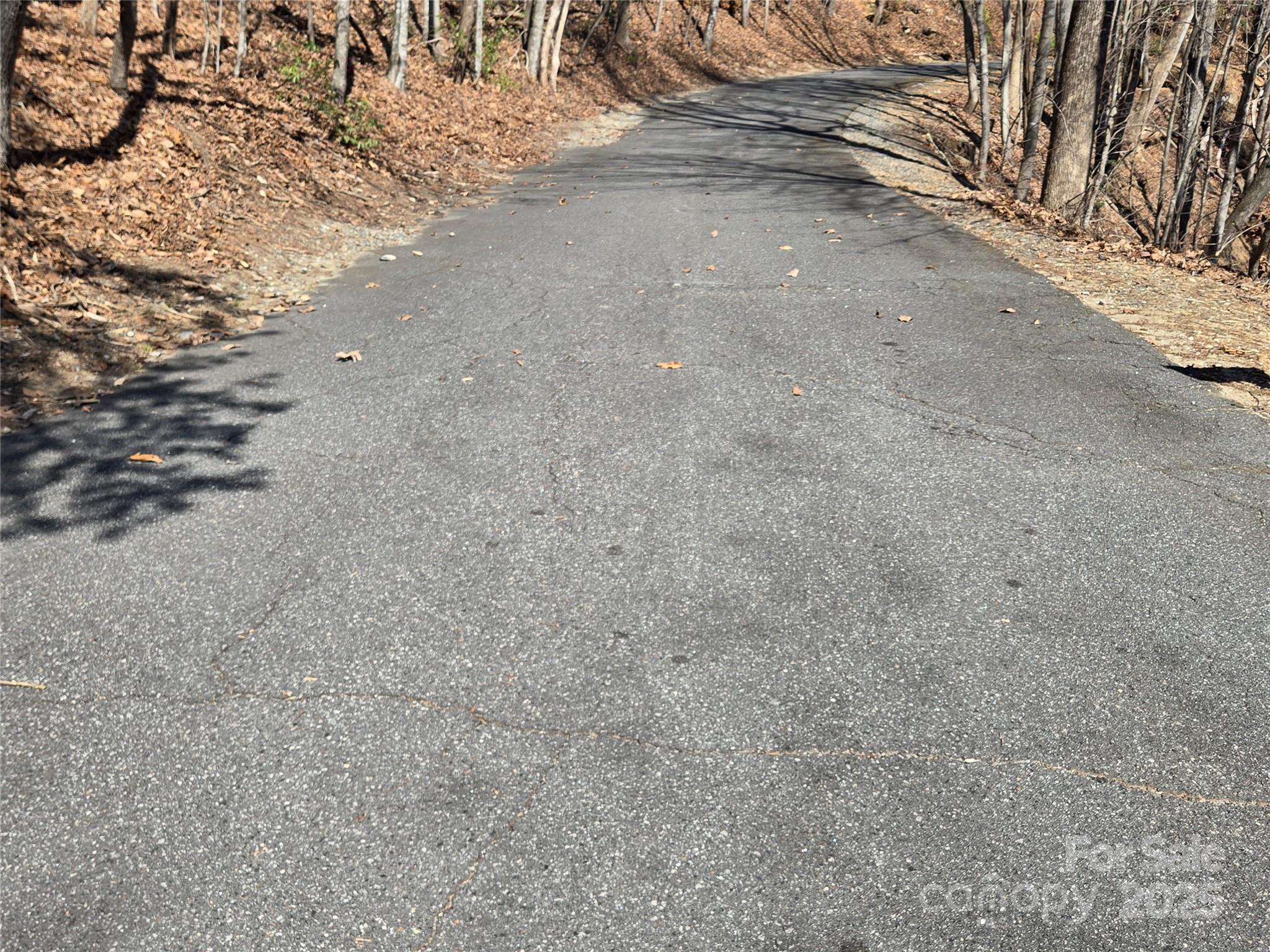 Rumbling Bald on Lake Lure - Land