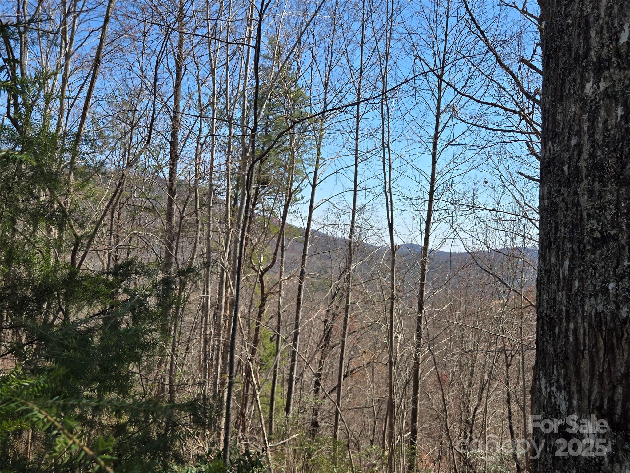 Rumbling Bald on Lake Lure - Land