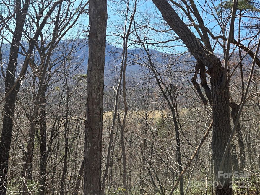 Wonderful Big View lot inside the gate at Rumbling Bald on Lake Lure.  This gently sloping property sits at the end of an almost level cul-de-sac and offers great potential for close- and long-range Mountain Views.  A fabulous view of Bald Mountain is possible.  Easy access to the likely building site with underground utilities including High-Speed Fiber Optic Internet, power, and water.  Enjoy all the fabulous amenities including a Private Beach, Restaurants, two Championship Golf Courses, Wellness Center/Spa, three pools, hiking trails, and much, much, more!