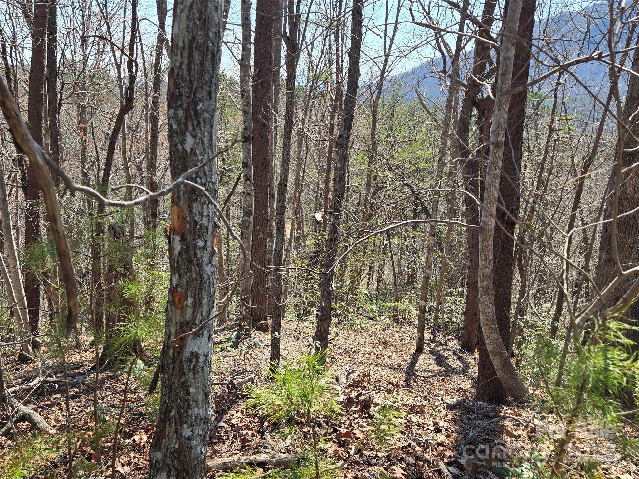 Lot 57 Banjo Court
