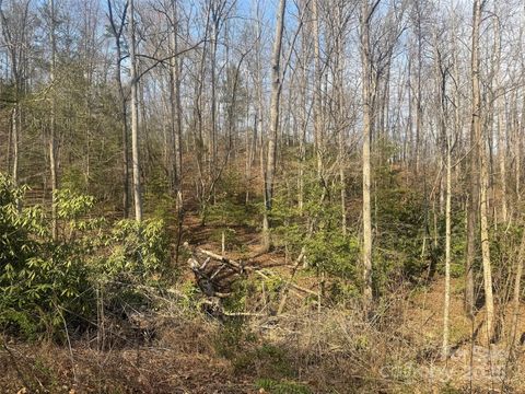 1 High Country Drive 1&2 Old Fort NC 28762