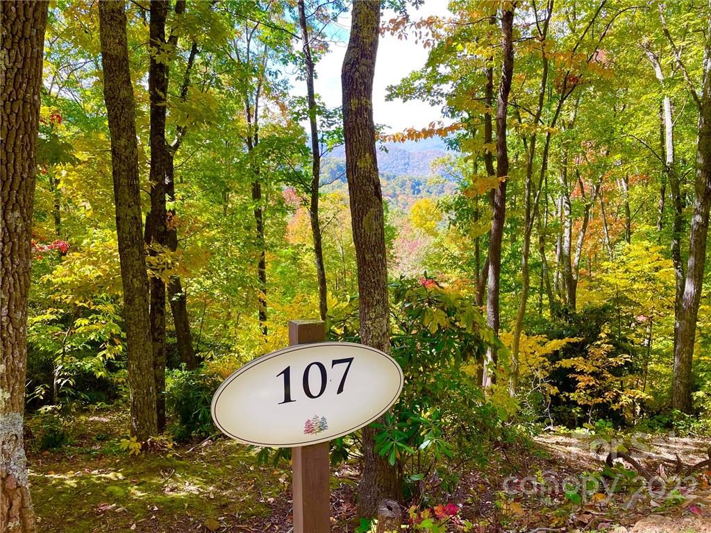 0 Macallan Drive 107