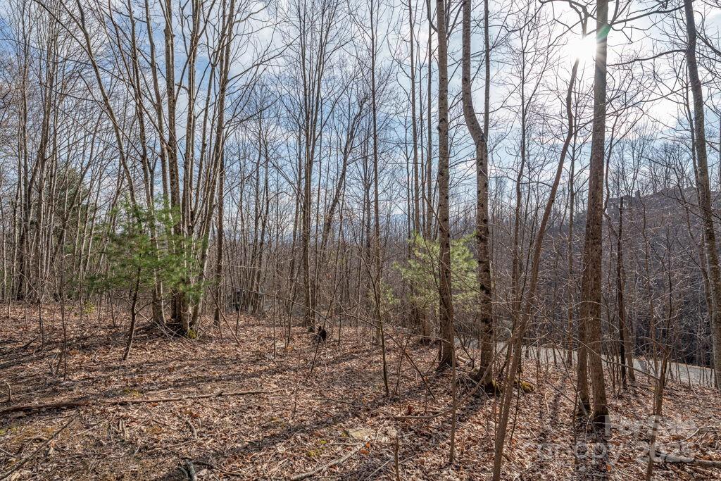 Lot 52 Pinnacle Drive