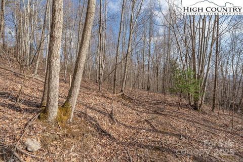 Lot 52 Pinnacle Drive Elk Park NC 28622