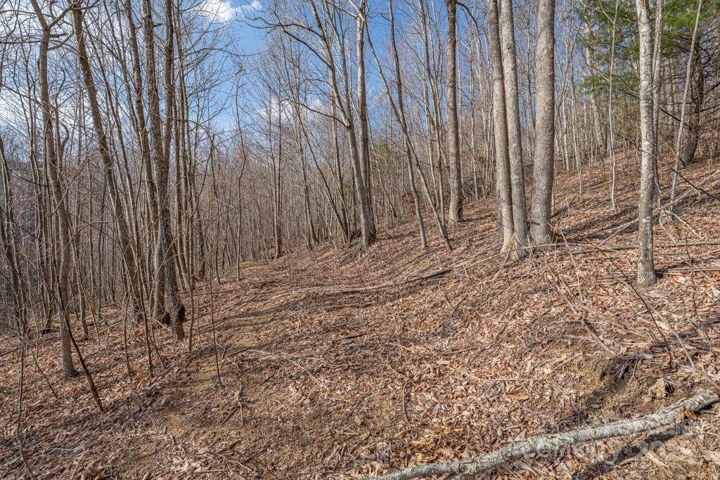 Lot 52 Pinnacle Drive