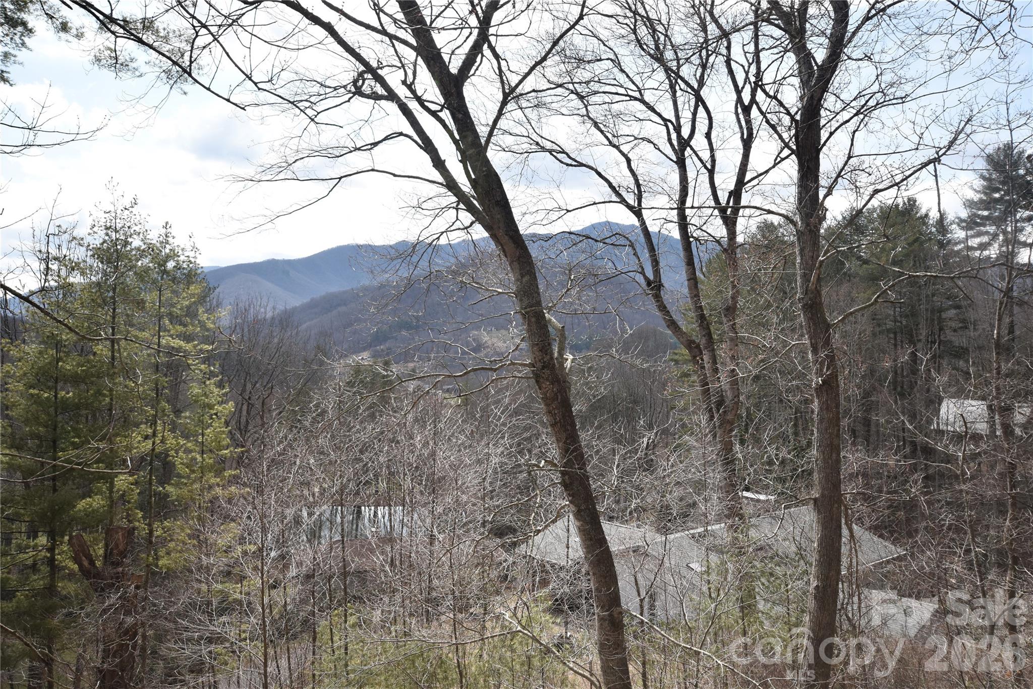 Springdale Estates - Residential