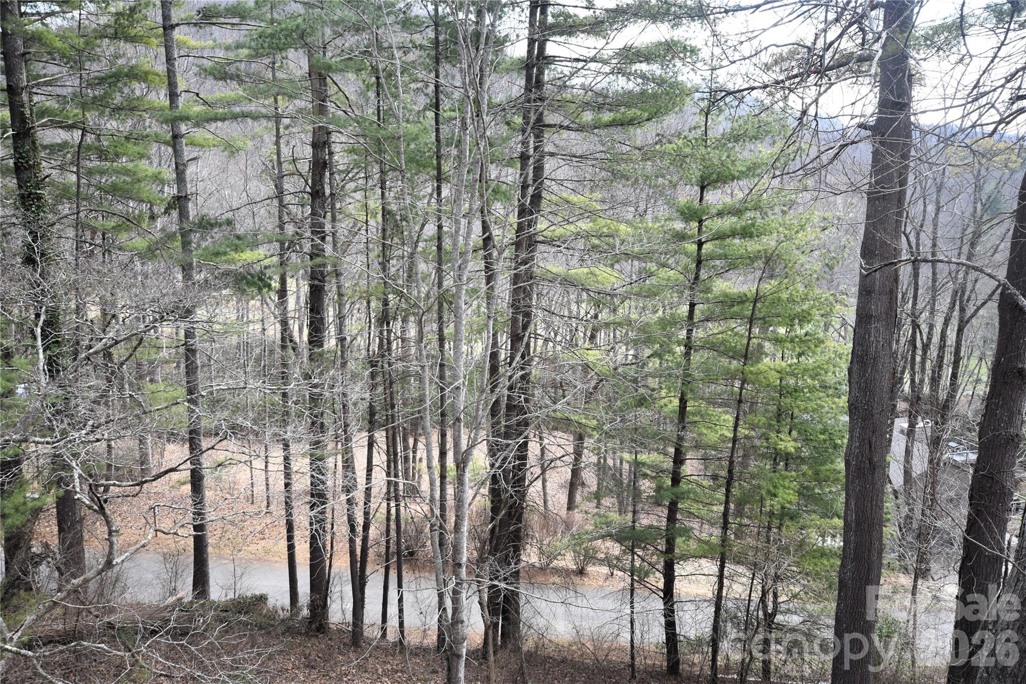 Springdale Estates - Residential