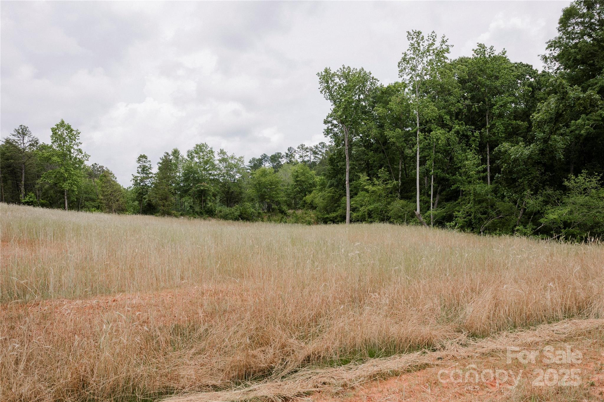 Southern Pine Lake - Land