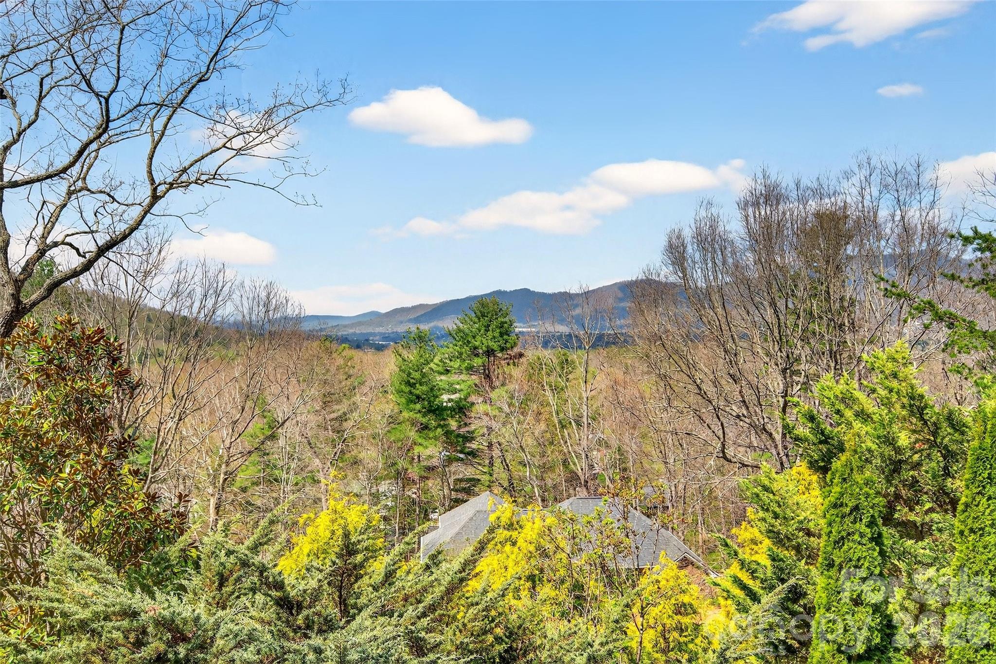 Timber Park - Residential