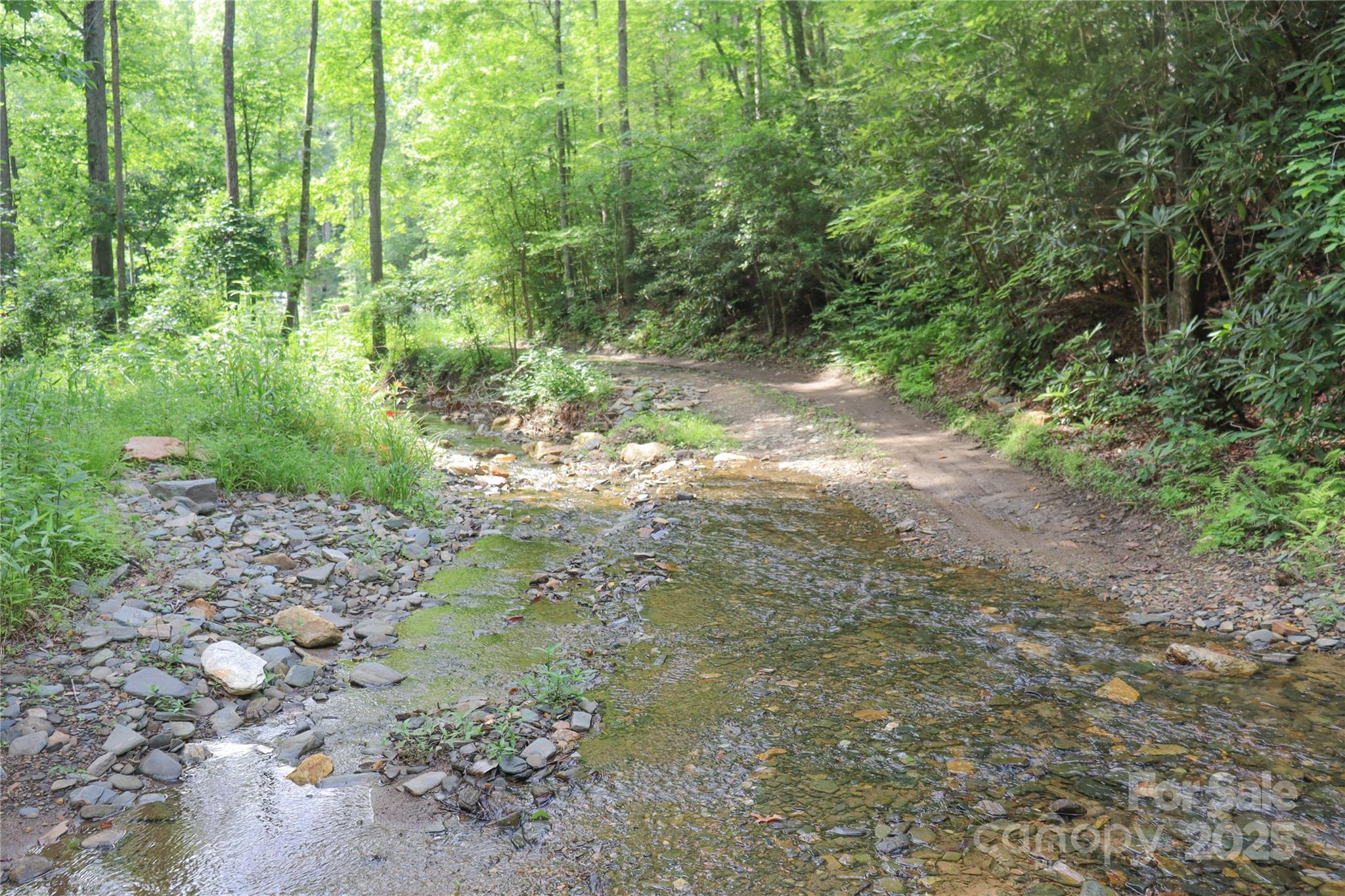 459 Old Yellow Mountain Road