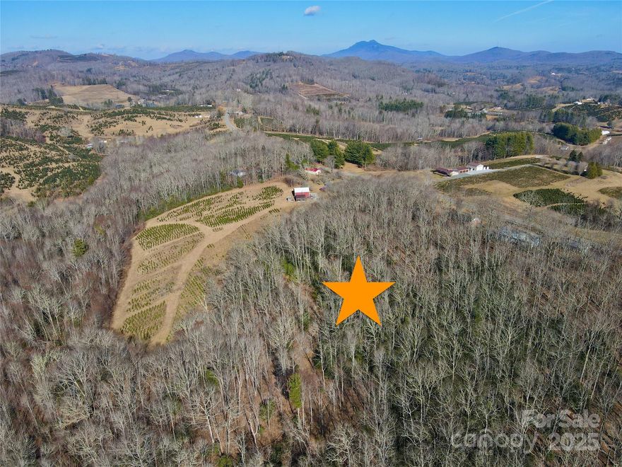 Welcome to Snipes Hill, a rare opportunity hitting the market for the first time. This 7+ acre tract offers a beautiful mix of flat and gently sloping land, providing endless possibilities. Enjoy seasonal mountain ridgeline views through the trees and creek frontage on Little Plumbtree Creek, all in a serene and private setting. Escape the hustle and bustle of city life and embrace nature right at your doorstep, surrounded by a wooded landscape and lush foliage. Whether you're looking to develop a small community, create a generational family compound, or establish a private estate, this property presents a rare opportunity. The current owner has already subdivided the land into seven parcels, complete with existing road infrastructure, originally envisioned as a small subdivision. While there are currently no deed restrictions, the seller is open to adding light, flexible restrictions based on the buyer’s vision.