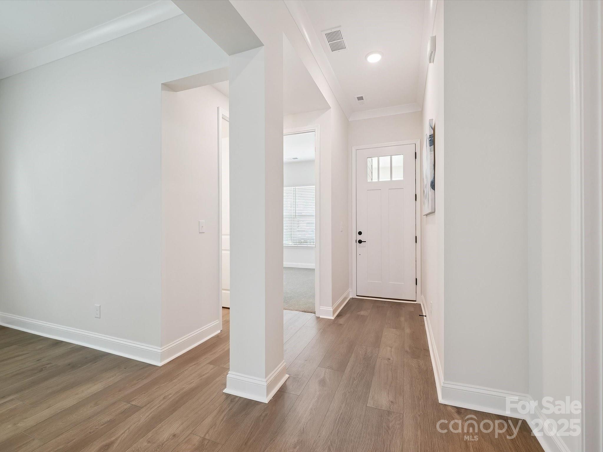 1131 Meander Lane